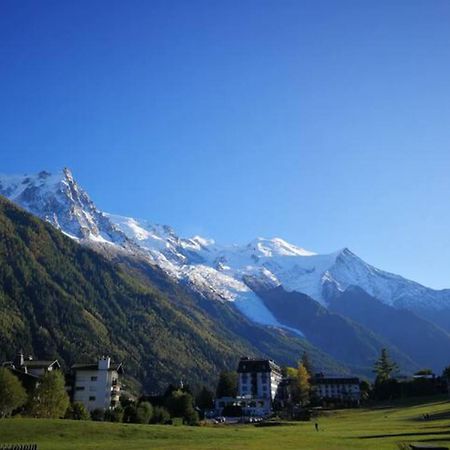 Le Savoy - Terrasse Avec Vue Sur Le Mont-Blanc Daire Chamonix Dış mekan fotoğraf